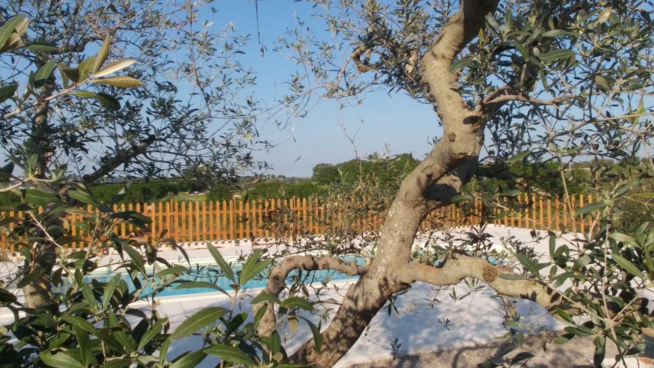 Il Carpino Villa Мартина Франка Екстериор снимка